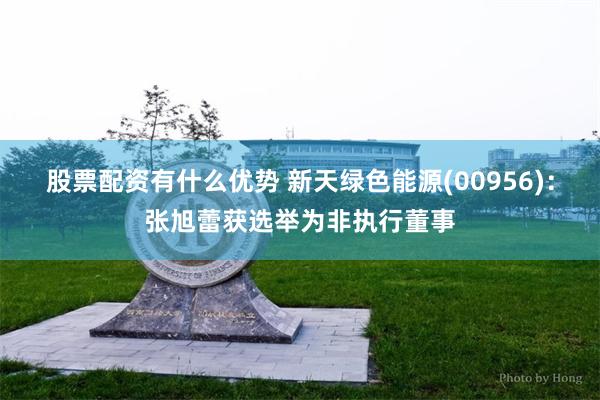 股票配资有什么优势 新天绿色能源(00956)：张旭蕾获选举为非执行董事