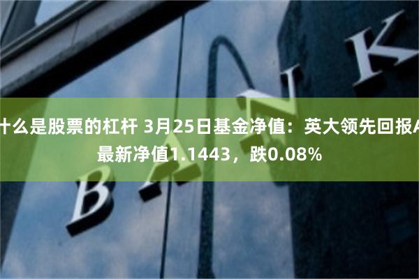 什么是股票的杠杆 3月25日基金净值：英大领先回报A最新净值1.1443，跌0.08%