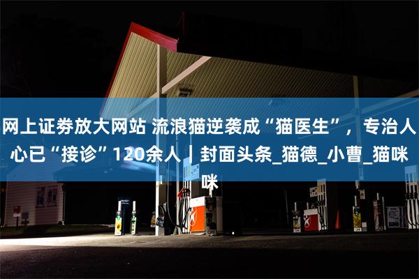 网上证劵放大网站 流浪猫逆袭成“猫医生”，专治人心已“接诊”120余人｜封面头条_猫德_小曹_猫咪