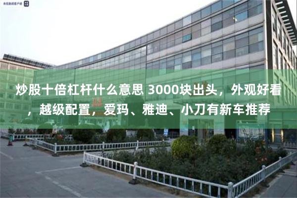 炒股十倍杠杆什么意思 3000块出头，外观好看，越级配置，爱玛、雅迪、小刀有新车推荐
