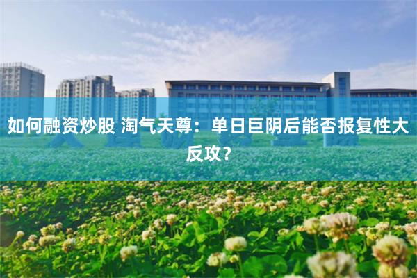 如何融资炒股 淘气天尊：单日巨阴后能否报复性大反攻？