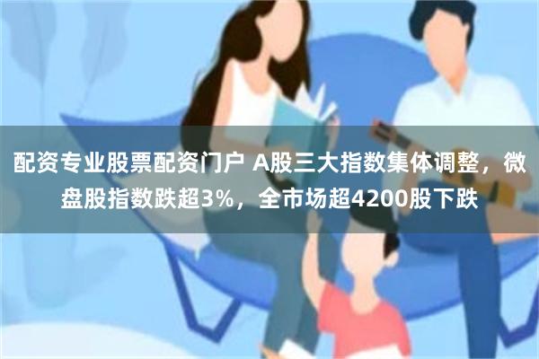 配资专业股票配资门户 A股三大指数集体调整，微盘股指数跌超3%，全市场超4200股下跌