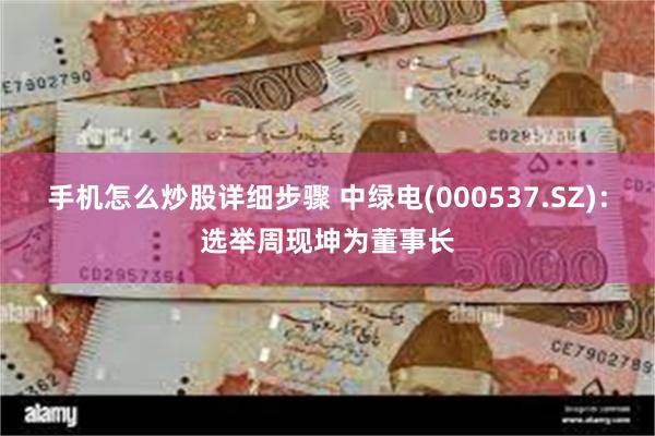 手机怎么炒股详细步骤 中绿电(000537.SZ)：选举周现坤为董事长