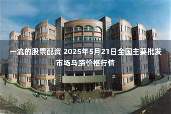一流的股票配资 2025年5月21日全国主要批发市场马蹄价格行情