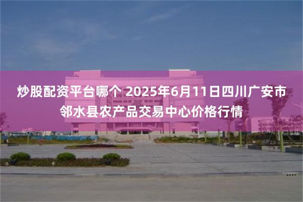 炒股配资平台哪个 2025年6月11日四川广安市邻水县农产品交易中心价格行情
