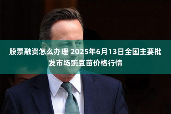 股票融资怎么办理 2025年6月13日全国主要批发市场豌豆苗价格行情