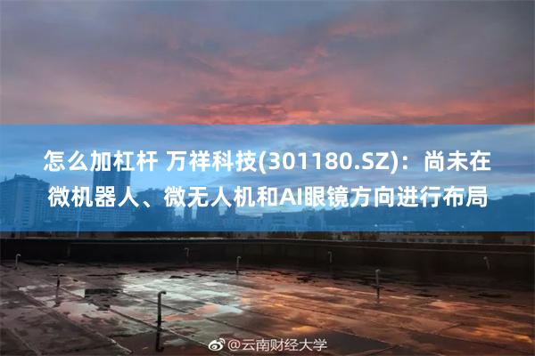 怎么加杠杆 万祥科技(301180.SZ)：尚未在微机器人、微无人机和AI眼镜方向进行布局