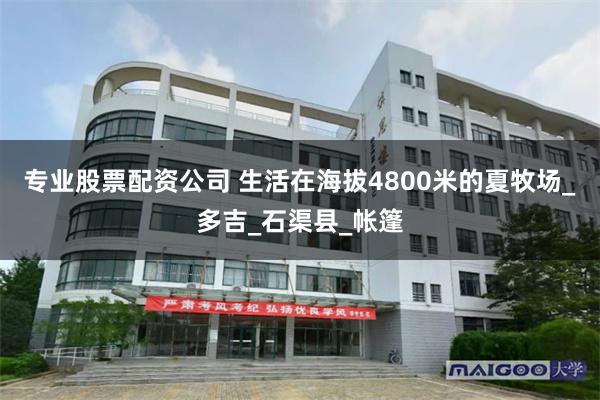 专业股票配资公司 生活在海拔4800米的夏牧场_多吉_石渠县_帐篷
